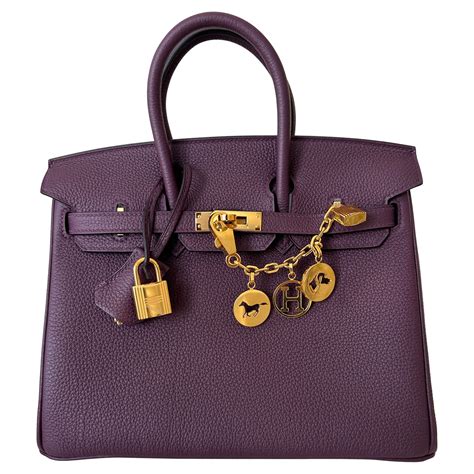 hermes birkin cassis|Hermès Cassis Bags for Sale .